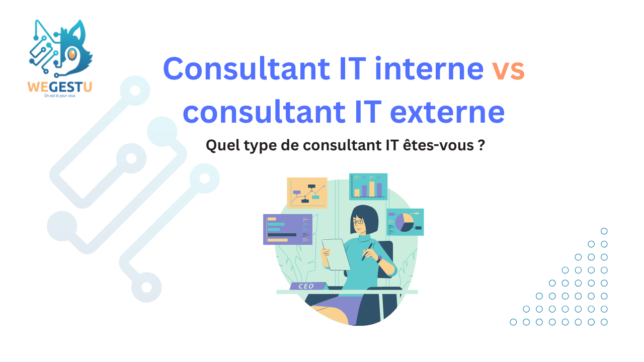 Consultant IT interne vs consultant IT externe : Quel type de consultant IT êtes-vous ?